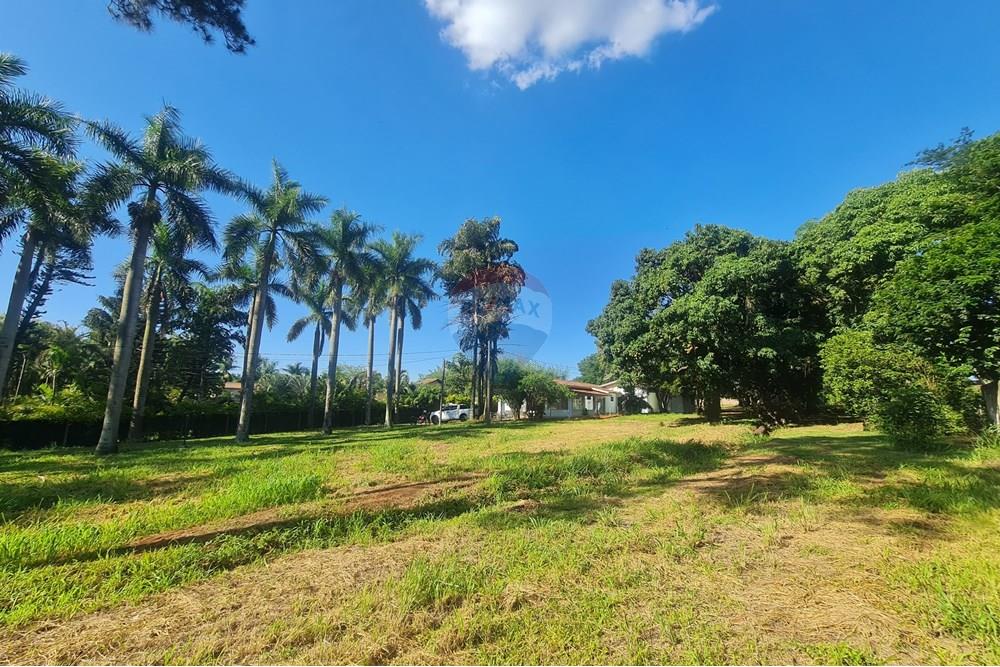 Agro - Alugar - Artur Nogueira , São Paulo - 20251120_155645.jpg - 690671009-93