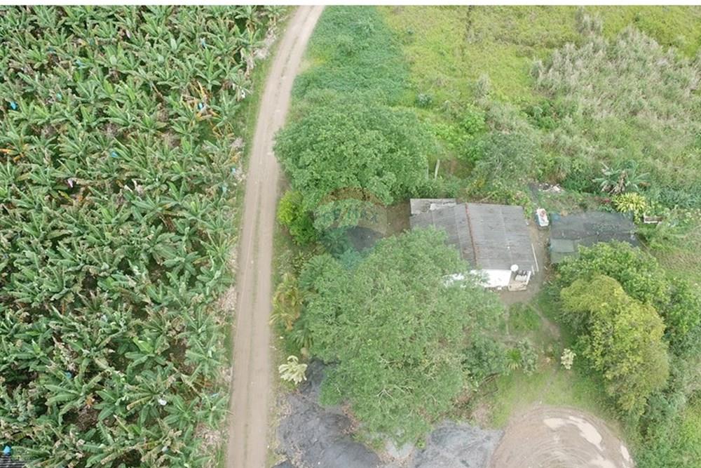 Fazenda - Venda - Pariquera-Açu , São Paulo - DJI_0016.JPG - 690061038-26