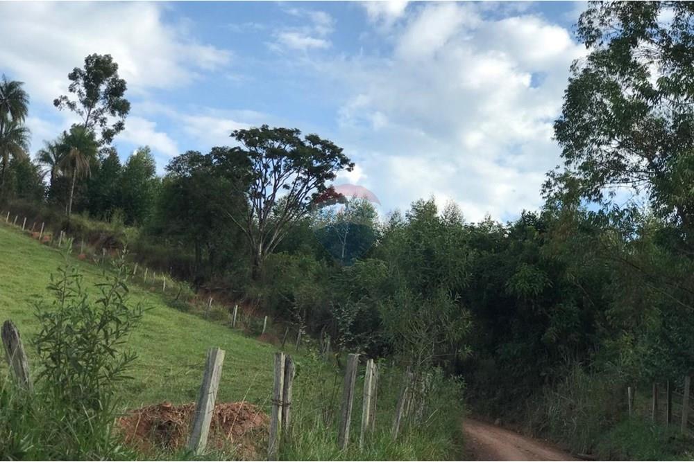 Chácara / Sítio / Fazenda - Venda - Socorro , São Paulo - IMG-20250520-WA0050.jpg - 690291056-39