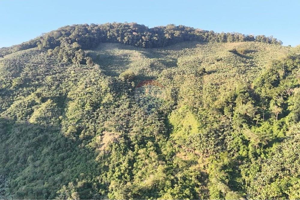 Fazenda - Venda - Miracatu , São Paulo - WhatsApp Image 2025-07-09 at 09.07.24.jpeg - 690061038-15