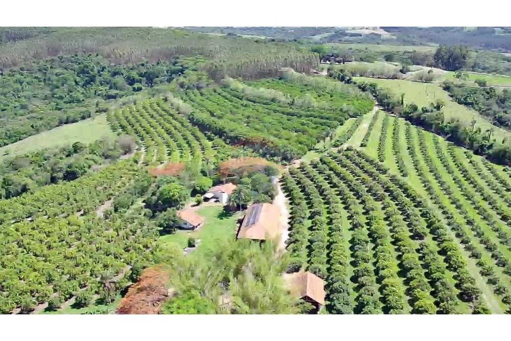 Fazenda - Venda - Analândia , São Paulo - 177d2565-88dd-4908-acc4-d7ff1464083e.jpg - 690691016-305