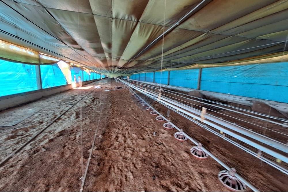 Chácara / Sítio / Fazenda - Venda - Itapira , São Paulo - 85d47115-524b-4314-bfb3-f2ef94cd3292.jpg - 690751048-290