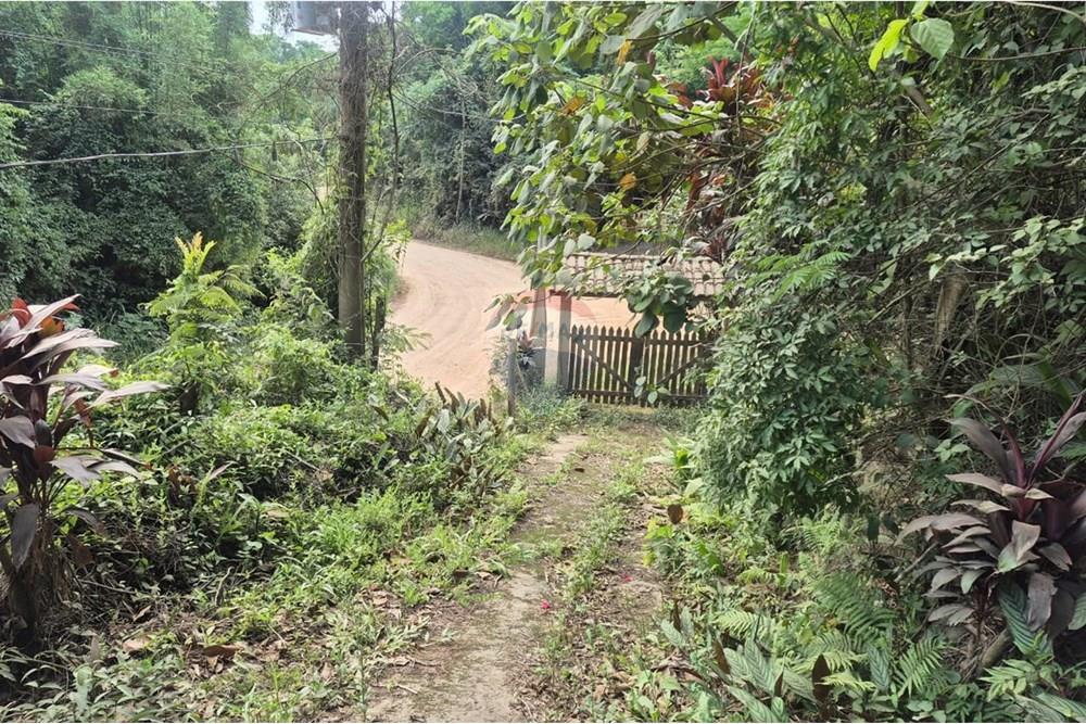 Chácara / Sítio / Fazenda - Venda - Atibaia , São Paulo - FotoF.jpeg - 690791148-26