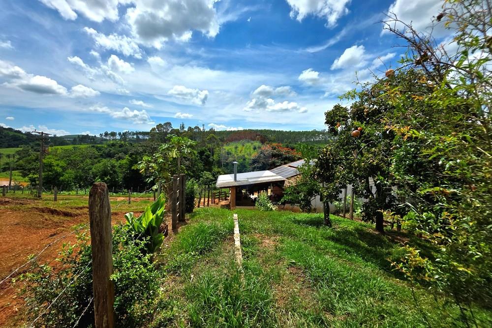 Chácara / Sítio / Fazenda - Venda - Itapira , São Paulo - 20260214_110430 (1).jpg - 690291072-26