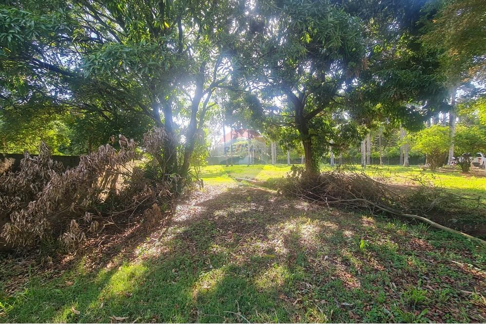 Agro - Alugar - Artur Nogueira , São Paulo - 20251120_155836.jpg - 690671009-93