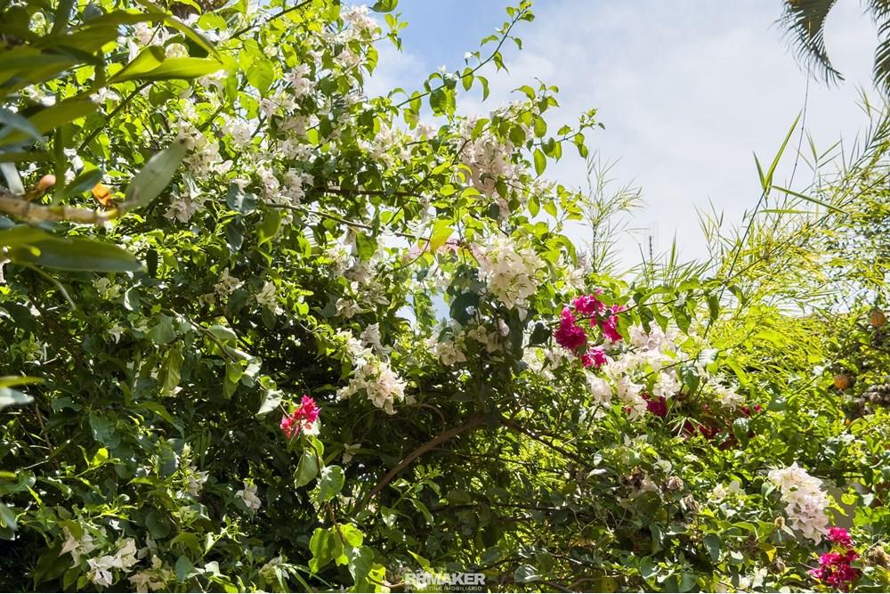 Casa - Venda - Campinas , São Paulo - IMG_1772.jpg - 690681182-8