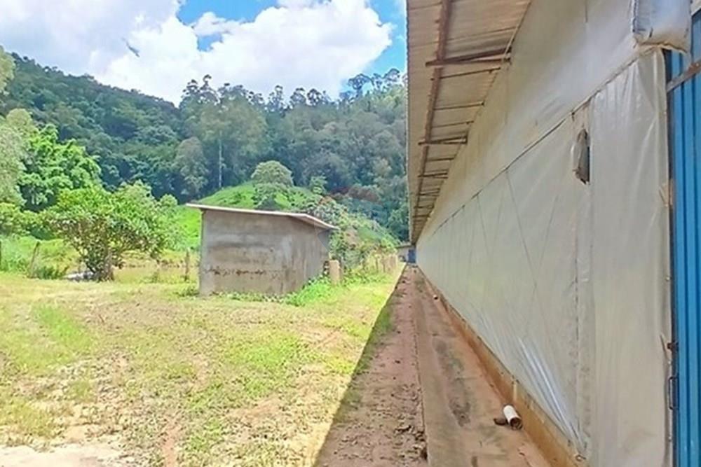 Chácara / Sítio / Fazenda - Venda - Bragança Paulista , São Paulo - 20260213_125147.jpg - 690141085-32