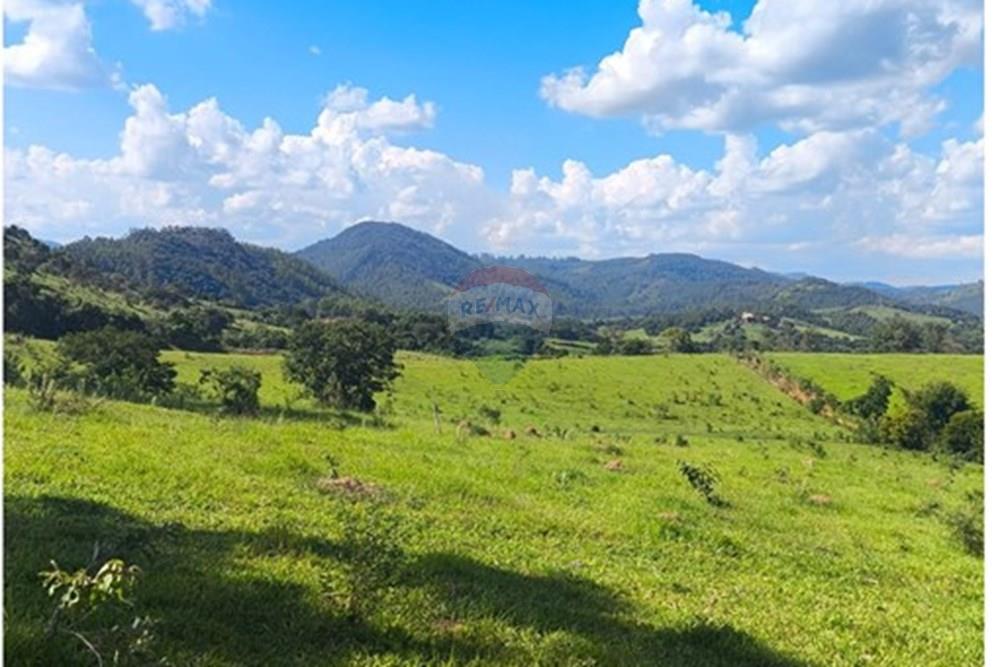 Chácara / Sítio / Fazenda - Venda - Morungaba , São Paulo - WhatsApp Image 2026-03-05 at 17.26.14 (3).jpeg - 691131002-3