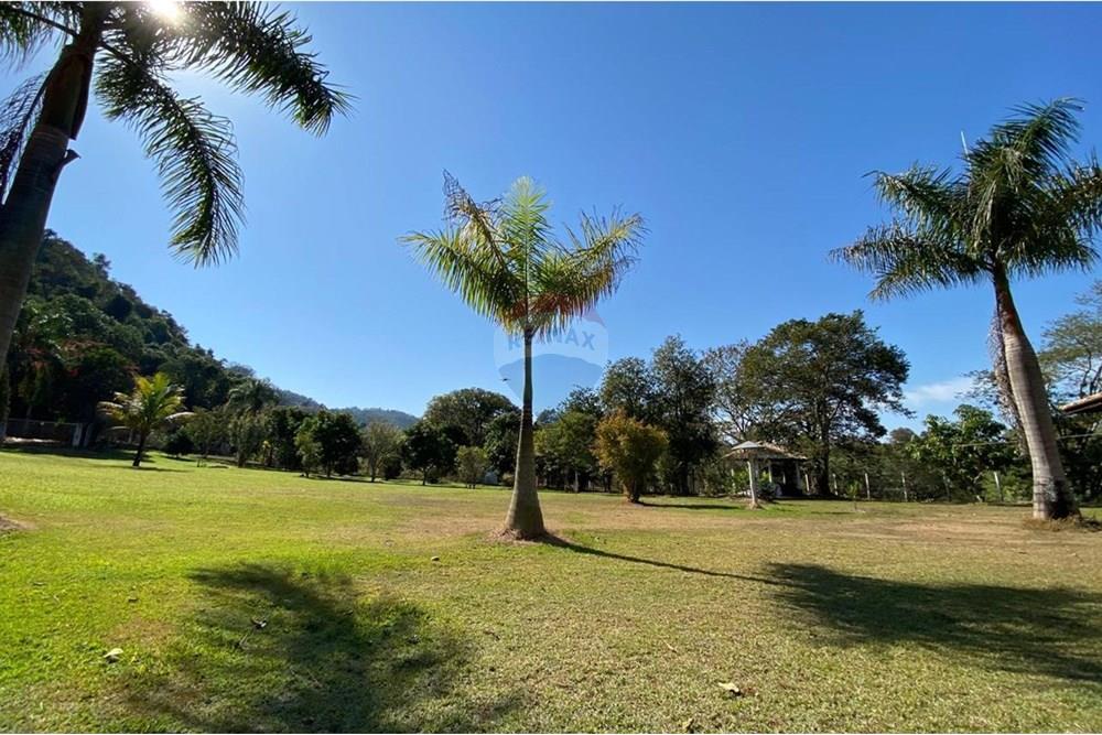 Chácara / Sítio / Fazenda - Venda - Jacutinga , Minas Gerais - WhatsApp Image 2025-08-06 at 14.30.55.jpeg - 690291077-290