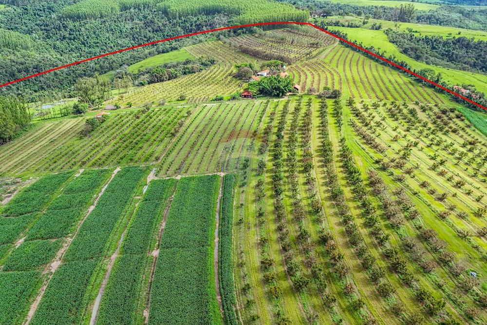 Fazenda - Venda - Analândia , São Paulo - Tratada - Drone-24.jpg - 690691016-305