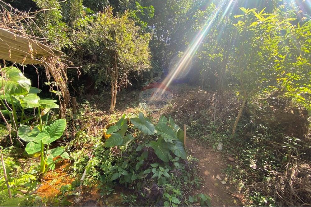 Terreno - Venda - Mogi Mirim , São Paulo - IMG_6559.JPEG - 690281041-98