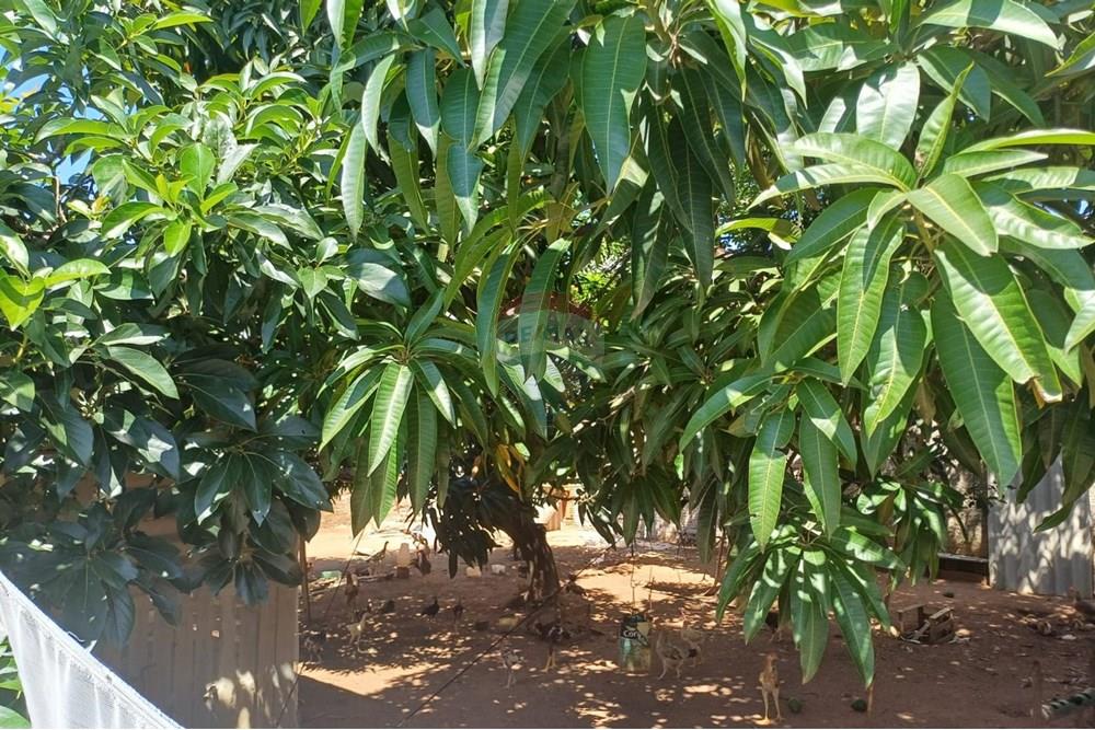 Terreno - Venda - Hortolândia , São Paulo - WhatsApp Image 2025-04-08 at 16.45.42 (5).jpeg - 690531008-173