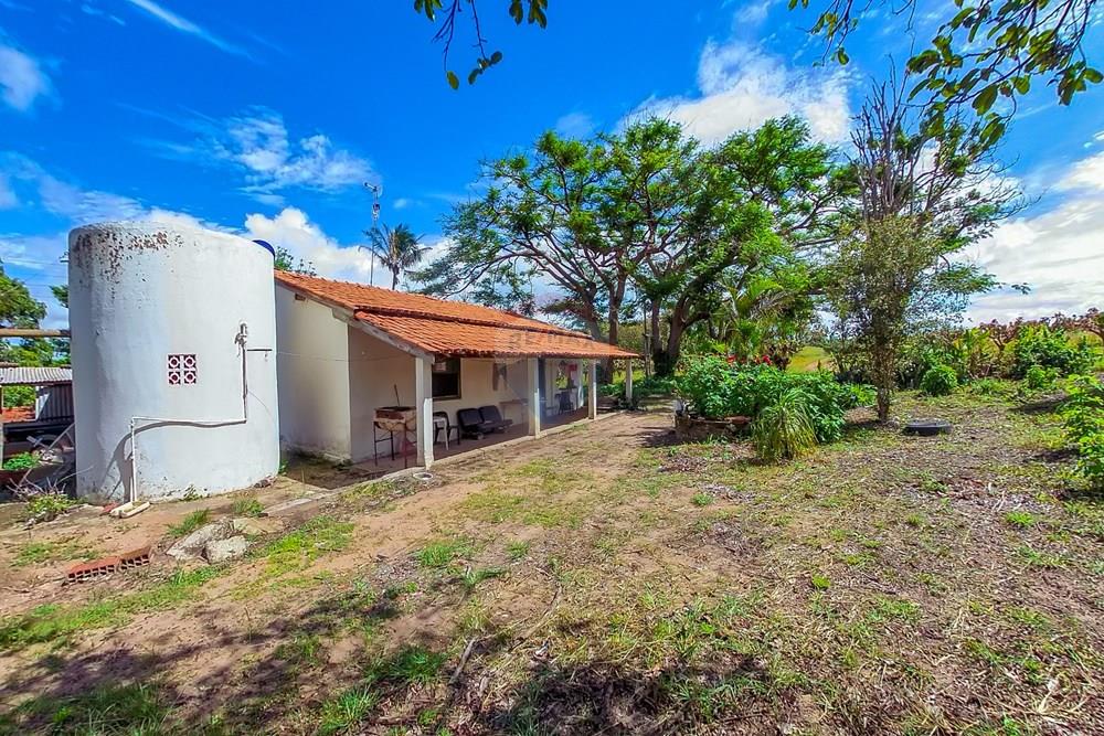 Fazenda - Venda - Analândia , São Paulo - Tratada-1.jpg - 690691016-305