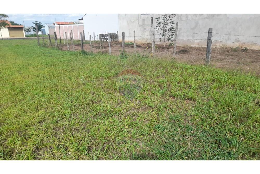 Terreno - Venda - Ipeúna , São Paulo - WhatsApp Image 2025-06-25 at 09.13.51 (2).jpeg - Fachada - 690811004-65