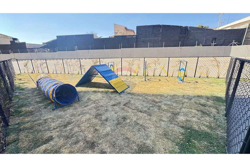 Apartamento - Alugar - Hortolândia , São Paulo - Imagem do WhatsApp de 2025-09-25 à(s) 15.50.31_8ac7d9f6.jpg - 690701020-97