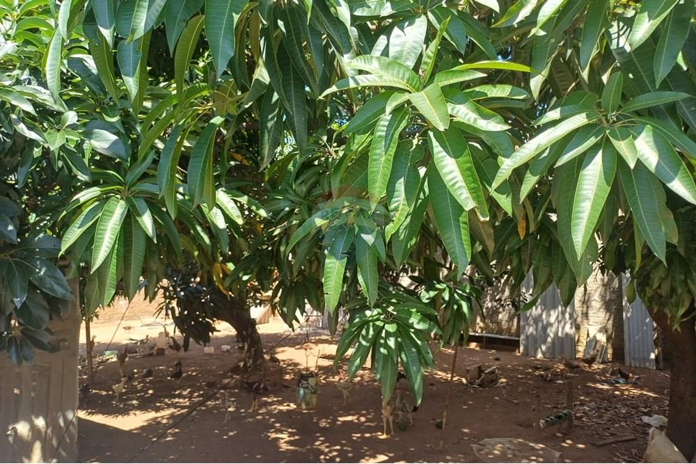 Terreno - Venda - Hortolândia , São Paulo - WhatsApp Image 2025-04-08 at 16.45.42 (4).jpeg - 690531008-173