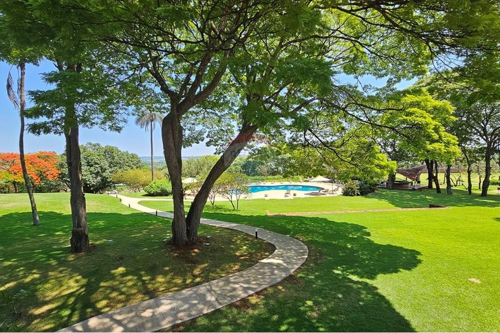 Terreno - Venda - Jaguariúna , São Paulo - Piscina-Grande.jpeg - 690671066-34