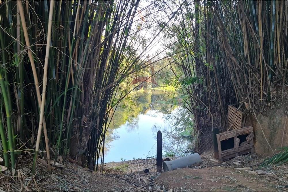 Chácara / Sítio / Fazenda - Venda - Tuiuti , São Paulo - 02189cd9-0cdb-41b0-983a-91859527b47e.jpg - 690041001-263