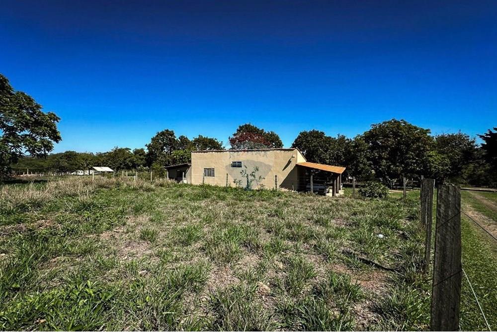 Agro - Venda - Rio Claro , São Paulo - EE.jpeg - 690901035-38