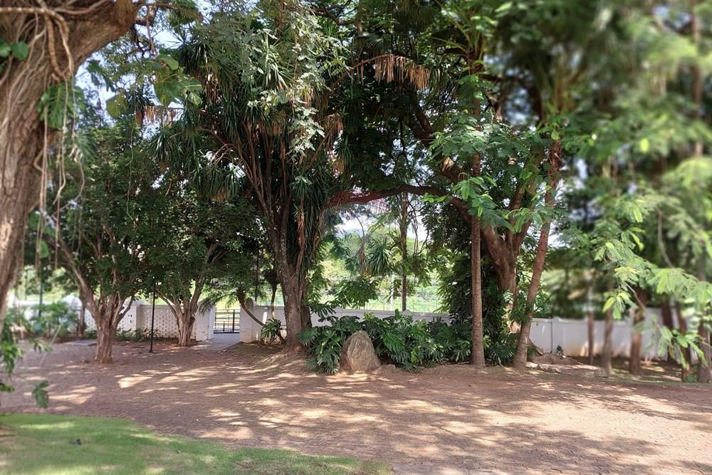 Terreno - Venda - Campinas , São Paulo - 20260128_102553.jpg - 690181001-443