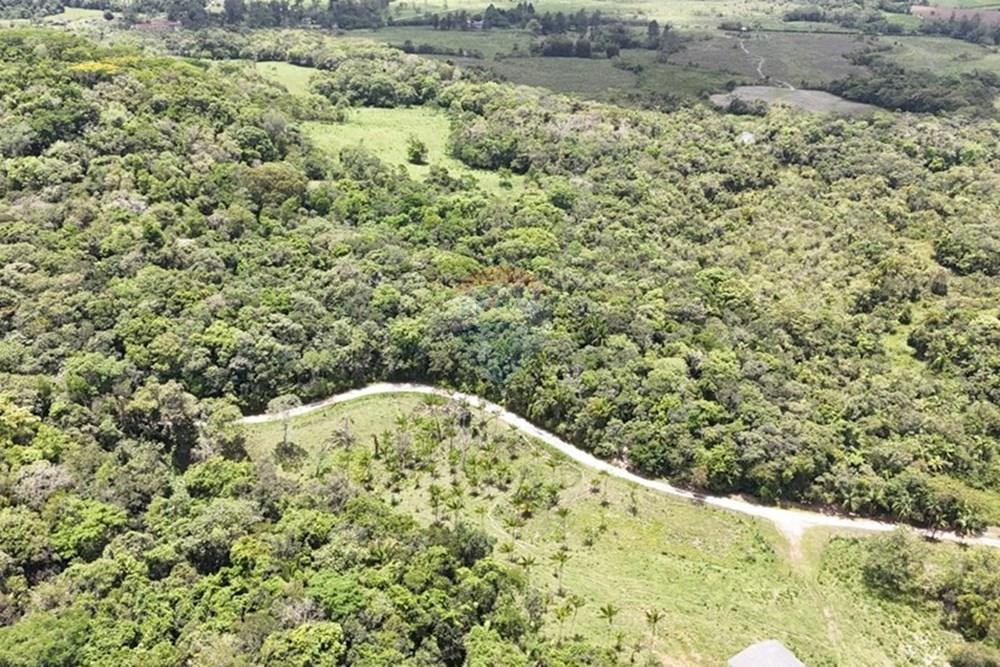 Fazenda - Venda - Pariquera-Açu , São Paulo - WhatsApp Image 2026-03-18 at 16.42.16 (2).jpeg - 690061038-24
