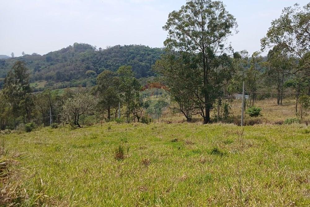 Terreno - Venda - Bragança Paulista , São Paulo - 20251007_111149.jpg - 690141085-37