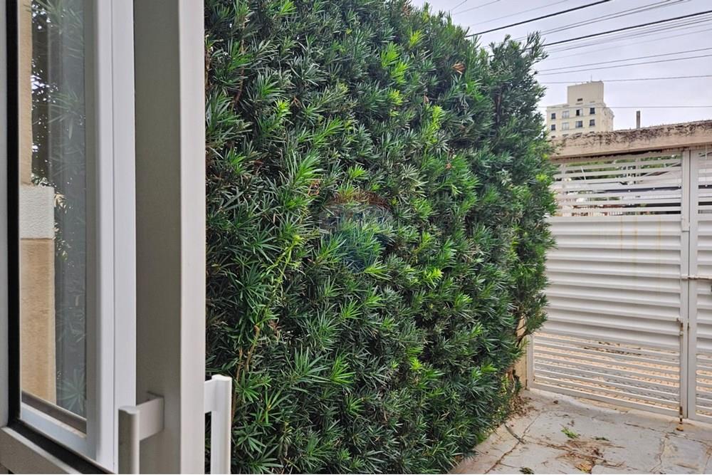 Casa Comercial - Alugar - Campinas , São Paulo - WhatsApp Image 2025-12-18 at 17.06.47.jpeg - 690681046-162