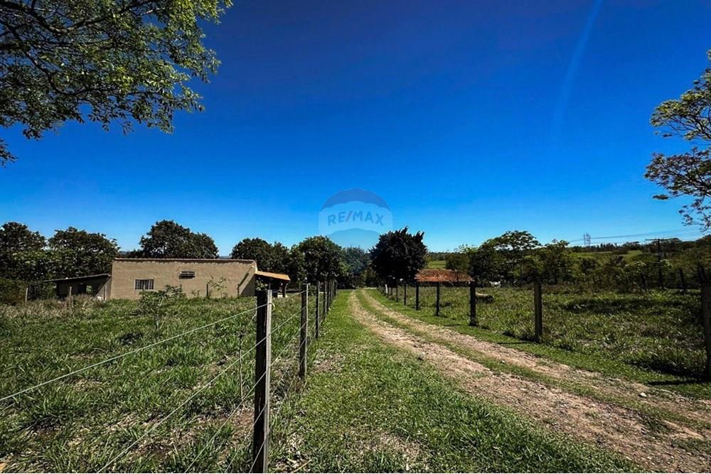 Agro - Venda - Rio Claro , São Paulo - YYY.jpeg - 690901035-38
