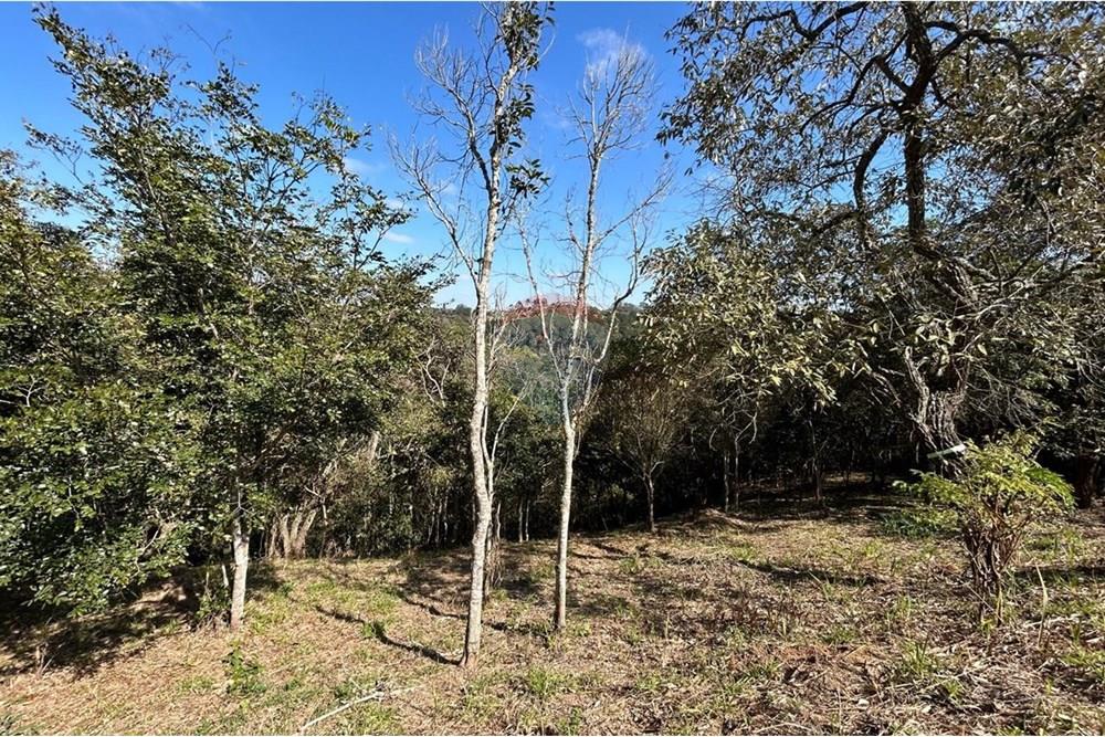 Terreno - Venda - Jarinu , São Paulo - IMG-20250819-WA0031.jpg - 690661027-137