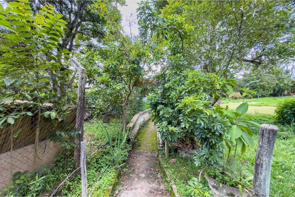 Chácara / Sítio / Fazenda - Venda - Jarinu , São Paulo - WhatsApp Image 2026-01-22 at 17.29.49 (24).jpeg - 690661027-149