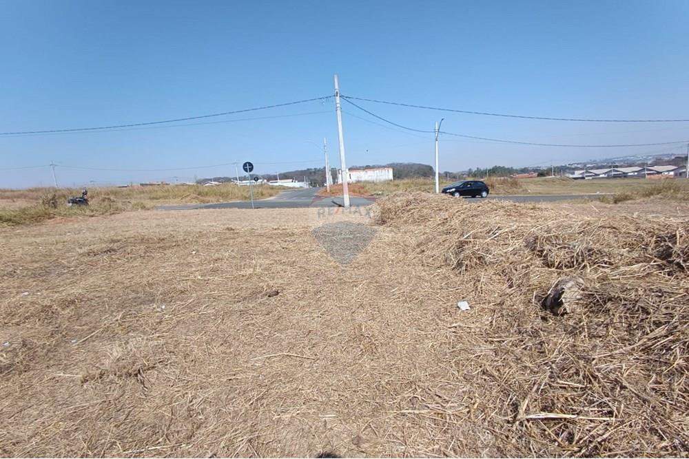 Terreno - Venda - Mogi Guaçu , São Paulo - WhatsApp Image 2025-07-22 at 11.32.30.jpeg - Quintal - 690521005-197