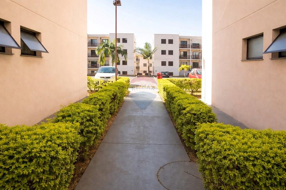 Apartamento - Alugar - Campinas , São Paulo - WhatsApp Image 2026-02-03 at 16.56.06.jpeg - 691181031-1