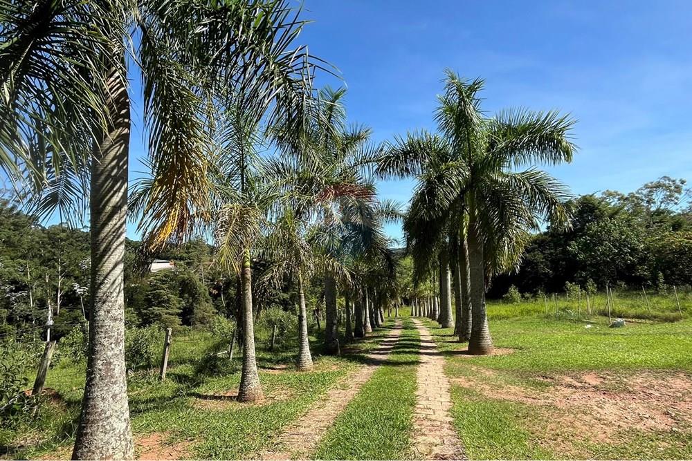 Chácara / Sítio / Fazenda - Venda - Itatiba , São Paulo - 4.JPEG - 691121001-47