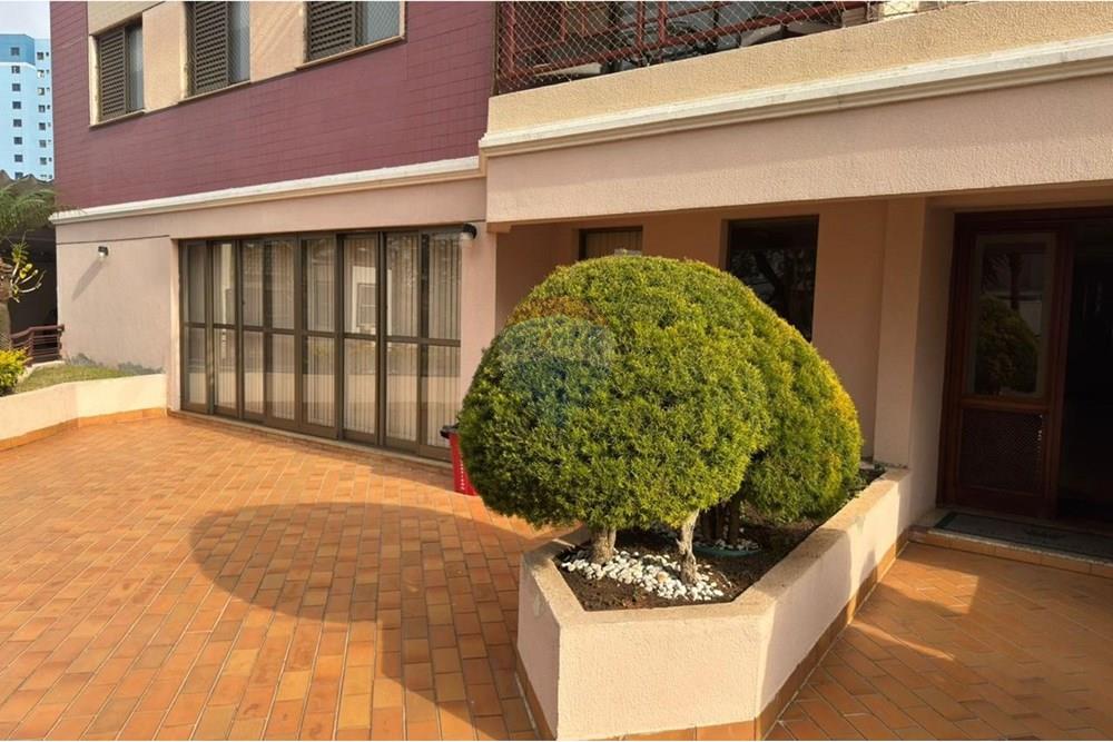 Apartamento - Alugar - Campinas , São Paulo - WhatsApp Image 2025-11-12 at 17.50.00-2.jpeg - 691091004-40