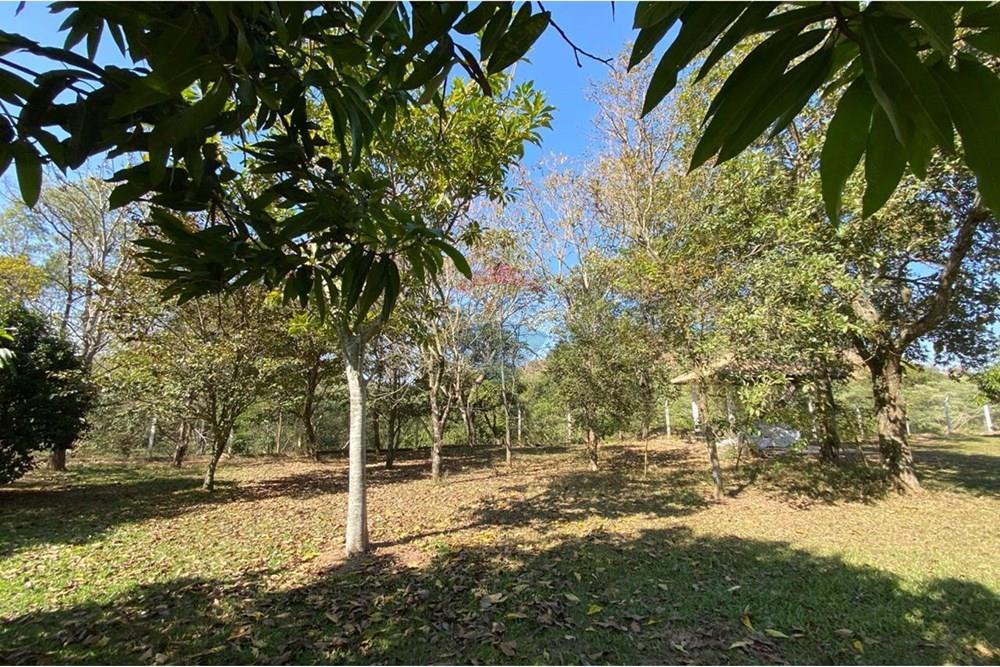 Chácara / Sítio / Fazenda - Venda - Jacutinga , Minas Gerais - WhatsApp Image 2025-08-06 at 14.30.50 (3).jpeg - 690291077-290