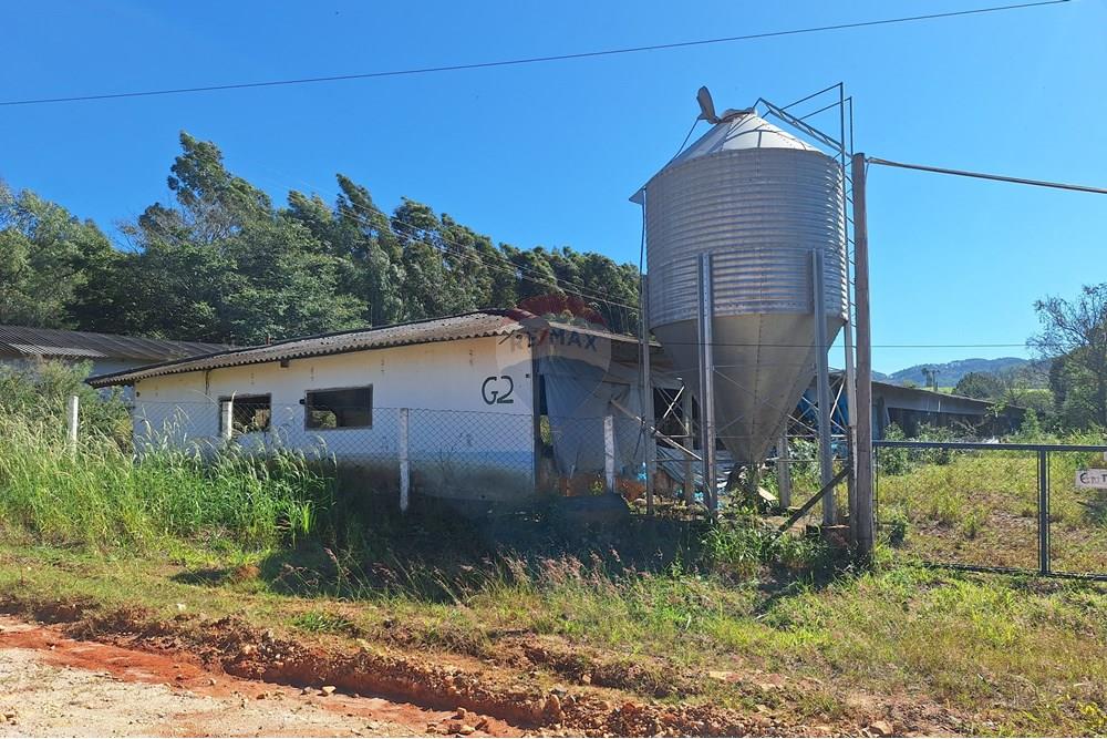 Chácara / Sítio / Fazenda - Venda - Itapira , São Paulo - 20250626_110035.jpg - 690751048-290