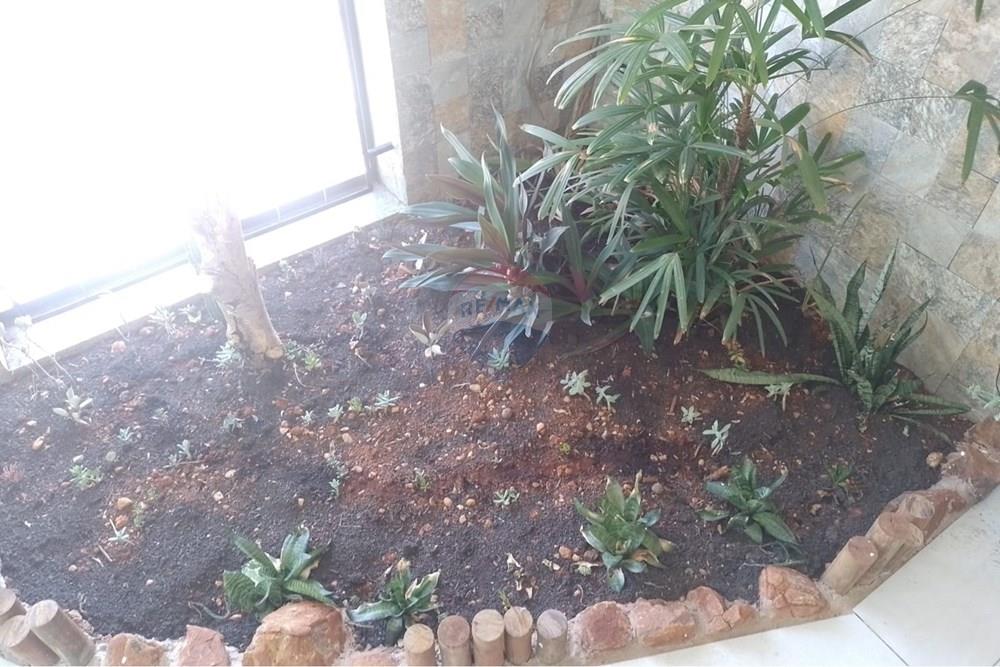 Ponto Comercial - Alugar - Mogi Mirim , São Paulo - WhatsApp Image 2026-03-05 at 14.59.06 (3).jpeg - 690751109-30