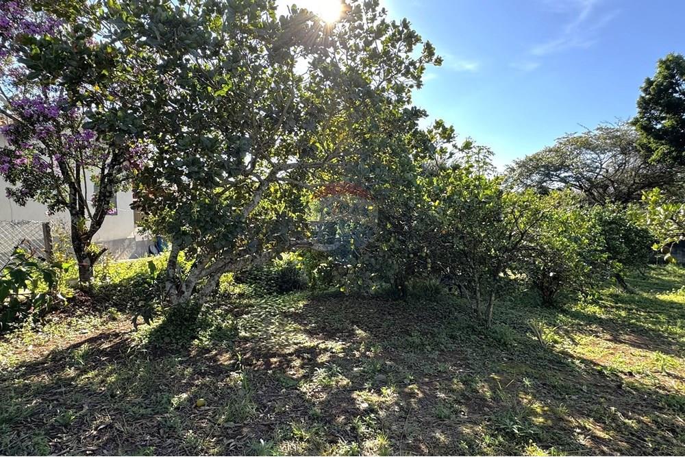 Chácara / Sítio / Fazenda - Venda - Jarinu , São Paulo - z7.JPEG - 691121003-27