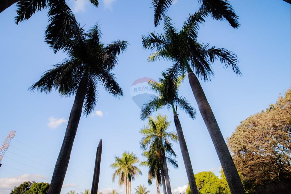 Chácara / Sítio / Fazenda - Venda - Mogi Mirim , São Paulo - IMG_9316.jpg - 690281011-309