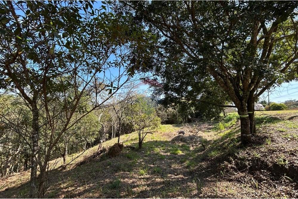 Terreno - Venda - Jarinu , São Paulo - IMG-20250819-WA0013.jpg - 690661027-137