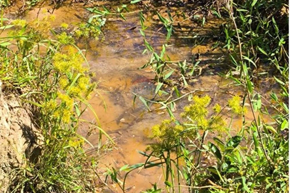 Chácara / Sítio / Fazenda - Venda - Morungaba , São Paulo - WhatsApp Image 2026-03-05 at 17.26.16 (1).jpeg - 691131002-3