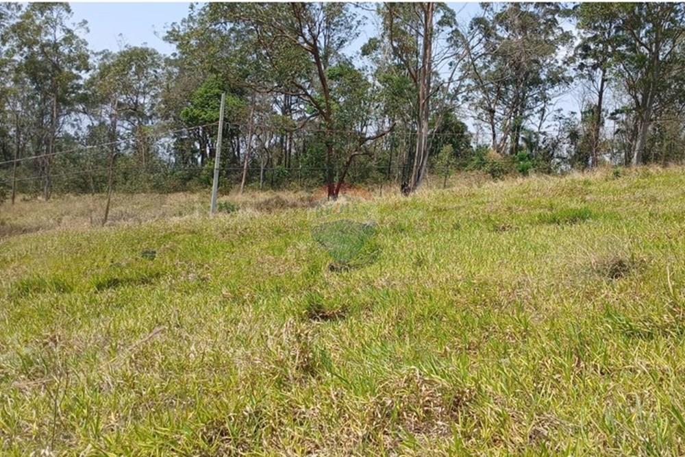 Terreno - Venda - Bragança Paulista , São Paulo - IMG-20251007-WA0060.jpg - 690141085-37