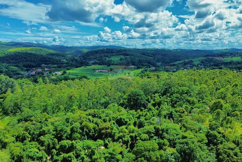 Chácara / Sítio / Fazenda - Venda - Jundiaí , São Paulo - dji_fly_20260108_205846_143_1767909894128_photo_optimized.jpg - 690051060-63