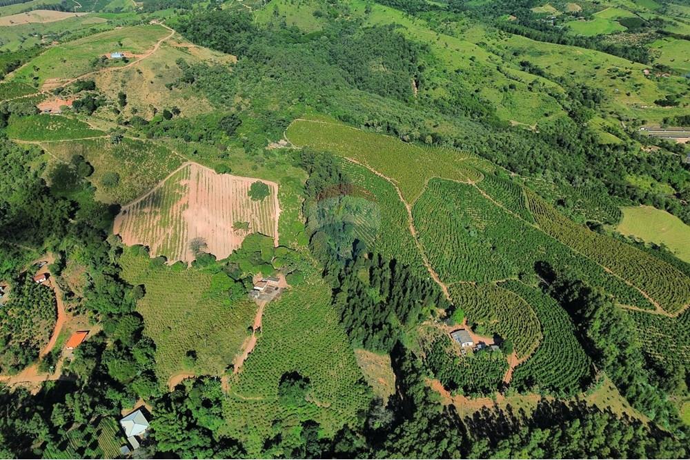 Chácara / Sítio / Fazenda - Venda - Serra Negra , São Paulo - dji_fly_20250516_140930_973_1747571435510_photo_optimized.jpg - 690291056-34
