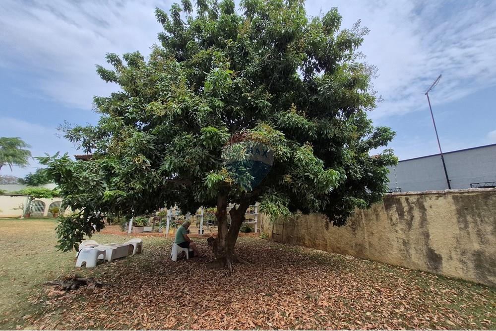 Casa - Venda - Piracicaba , São Paulo - 20251008_104512.jpg - 690571002-125