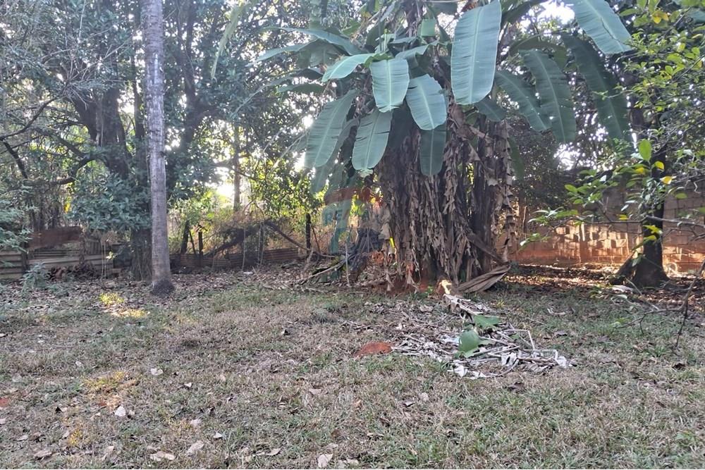 Chácara / Sítio / Fazenda - Venda - Mogi Mirim , São Paulo - chacara paola 20.jpeg - 690751035-87