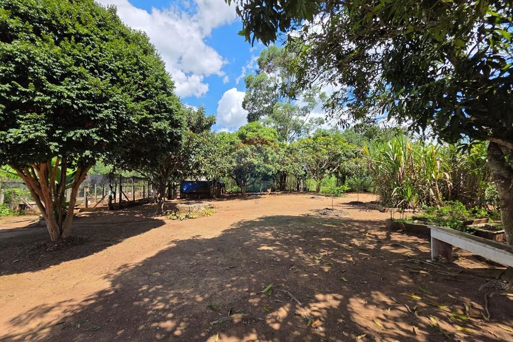 Chácara / Sítio / Fazenda - Venda - Bragança Paulista , São Paulo - 20260324_132335.jpg - 690041041-57