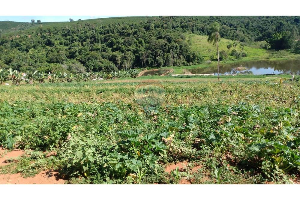 Fazenda - Venda - Campestre , Minas Gerais - b7c1a5a3-9414-4ce8-9c97-dc5aacf7b4c6.jpg - 690291077-293