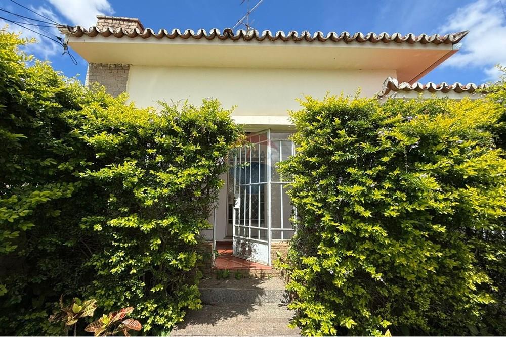 Casa - Alugar - Campinas , São Paulo - WhatsApp Image 2026-01-07 at 17.47.09 (3).jpeg - 691181023-3