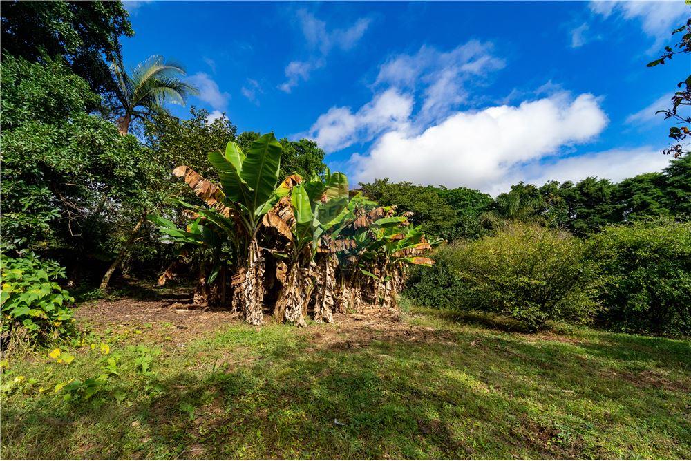 Chácara / Sítio / Fazenda - Venda - Jundiaí , São Paulo - 23 - 690361003-88